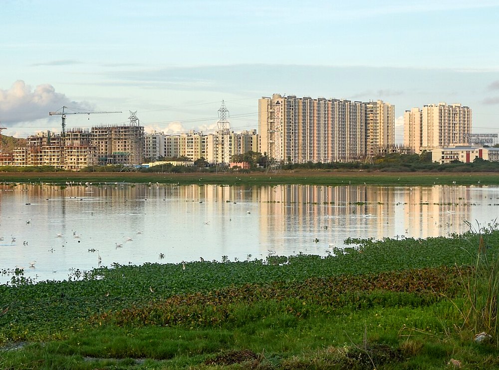 Apartment towers reflected in Pallikaranai marsh, Chennai